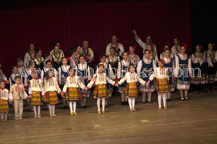 concert v shopluka