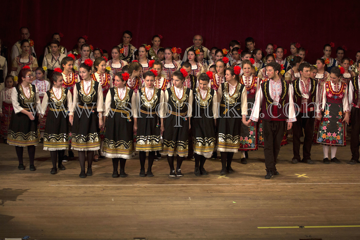 concert v shopluka